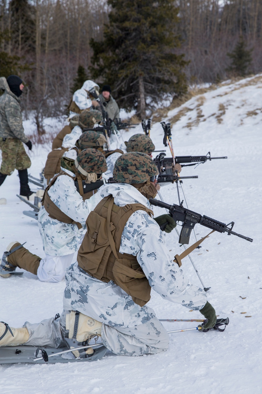 Task Force Arctic Edge