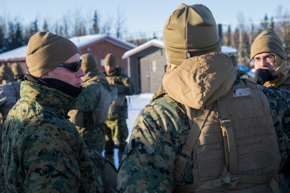 Task Force Arctic Edge