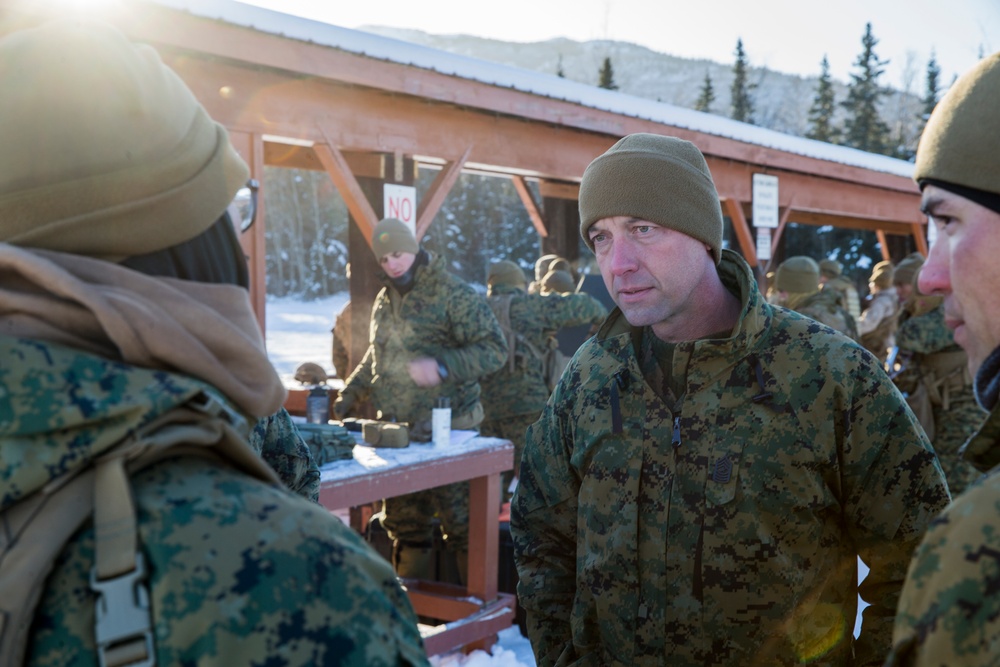 Task Force Arctic Edge