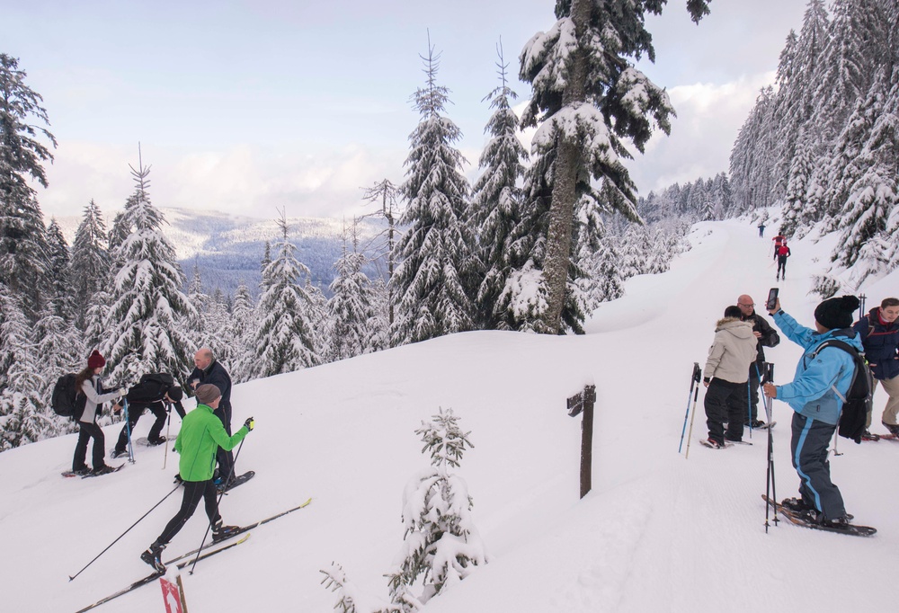 Black Forest, White Snowshoe