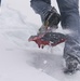 Black Forest, White Snowshoe