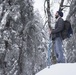 Black Forest, White Snowshoe