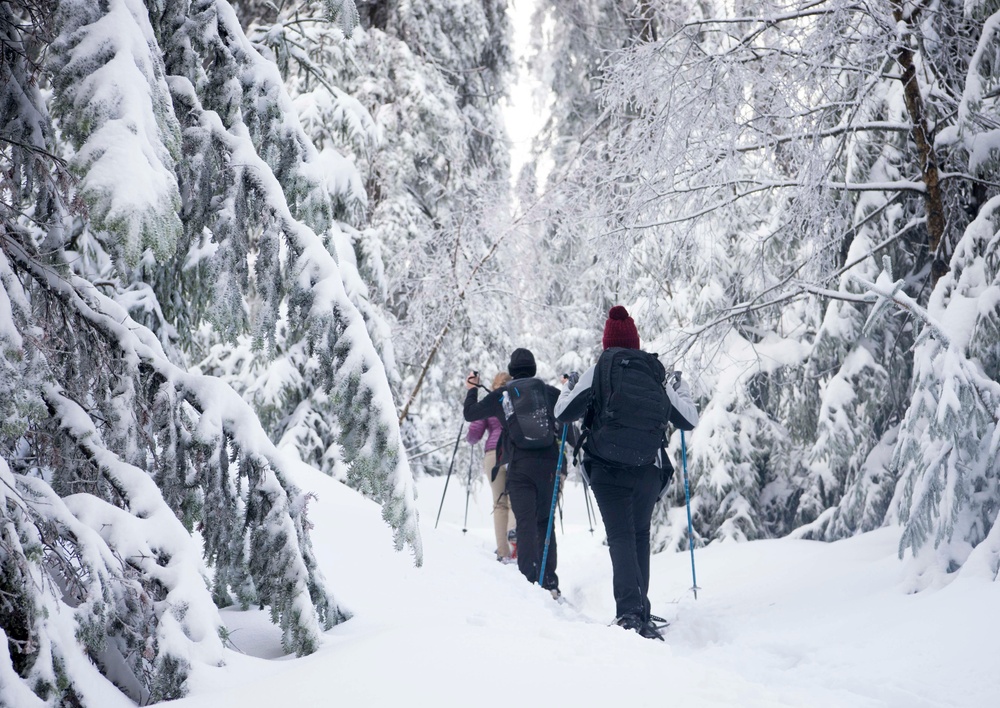 Black Forest, White Snowshoe