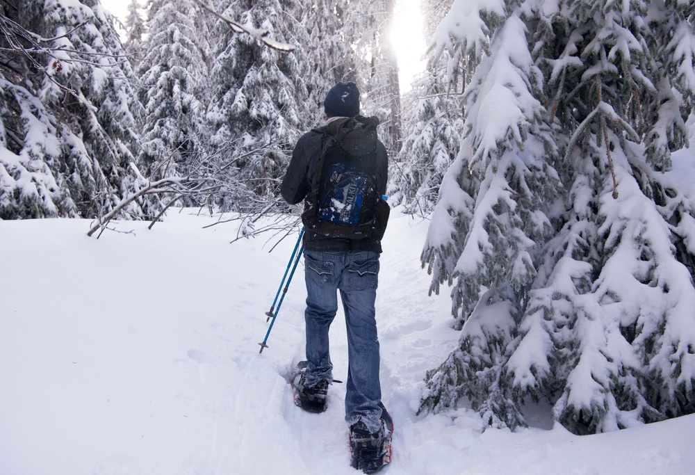 Black Forest, White Snowshoe