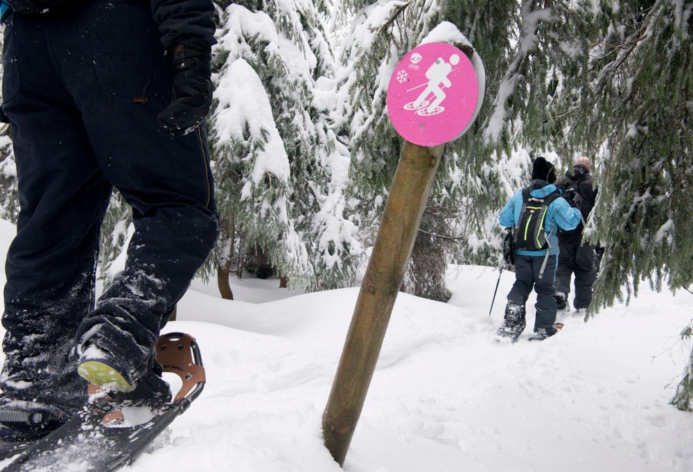 Black Forest, White Snowshoe