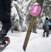 Black Forest, White Snowshoe