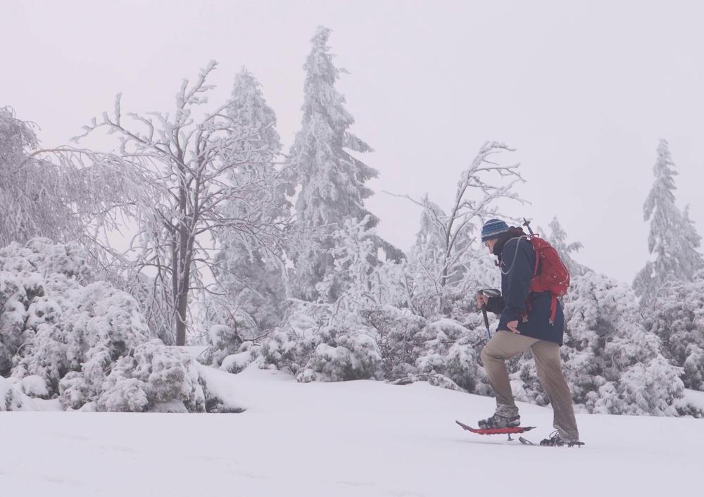 Black Forest, White Snowshoe