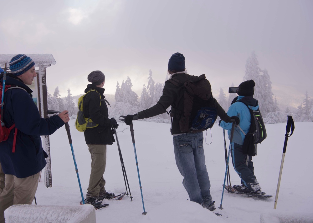 Black Forest, White Snowshoe