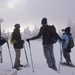 Black Forest, White Snowshoe