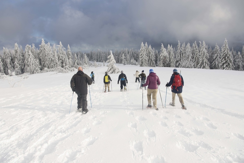Black Forest, White Snowshoe