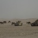 Rush hour in the desert
