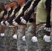 U.S. AF Honor Guard Drill Team practices new routine