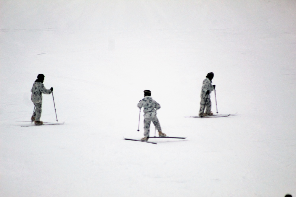 Cold-Weather Operations Course 18-03 students learn to ski during training at Fort McCoy