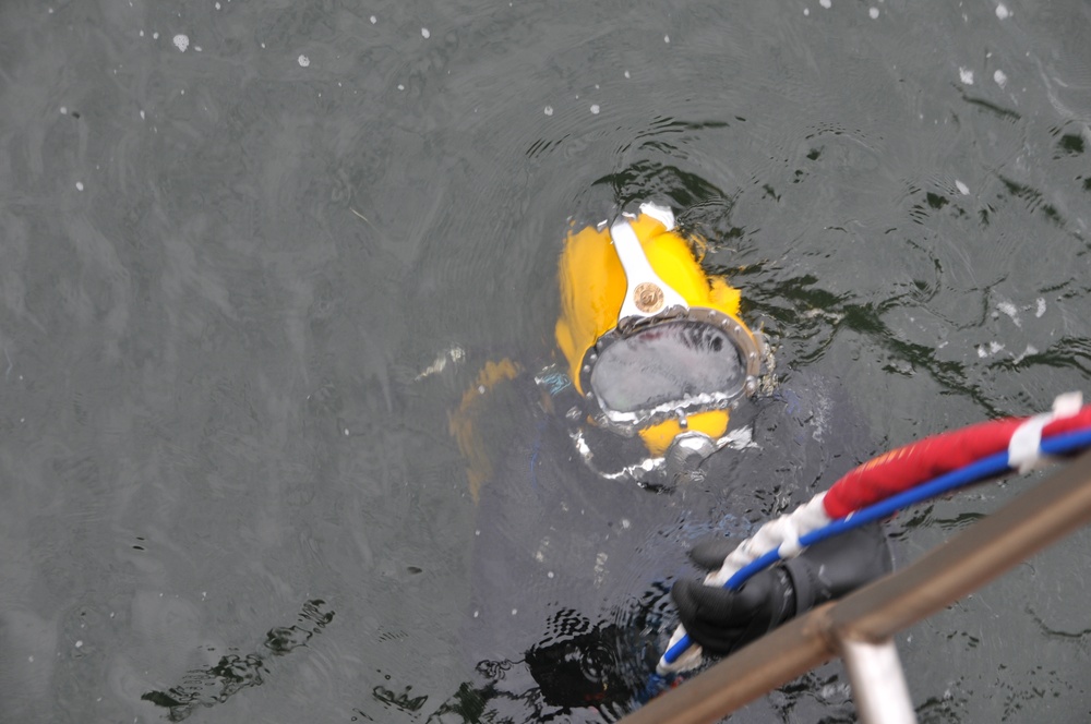 COMNECC Dives DAVD Prototype