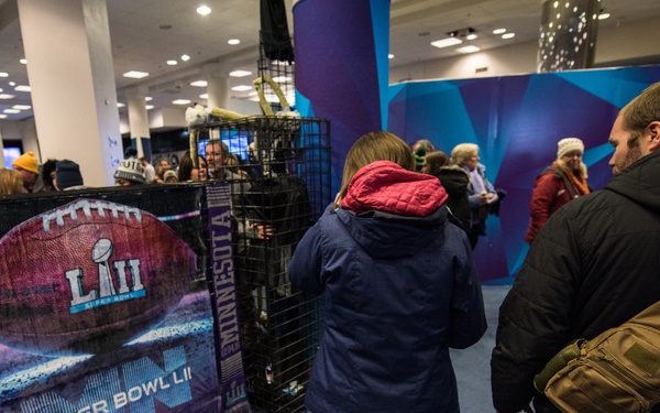 ICE at the Super Bowl