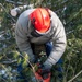 104 Fighter Wing tree removal training