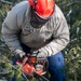 104 Fighter Wing tree removal training