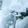 U.S. Marines participate in the Swedish Basic Winter Warfare Course