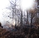 Fire and Smoke: Natural Resources controlling the burn