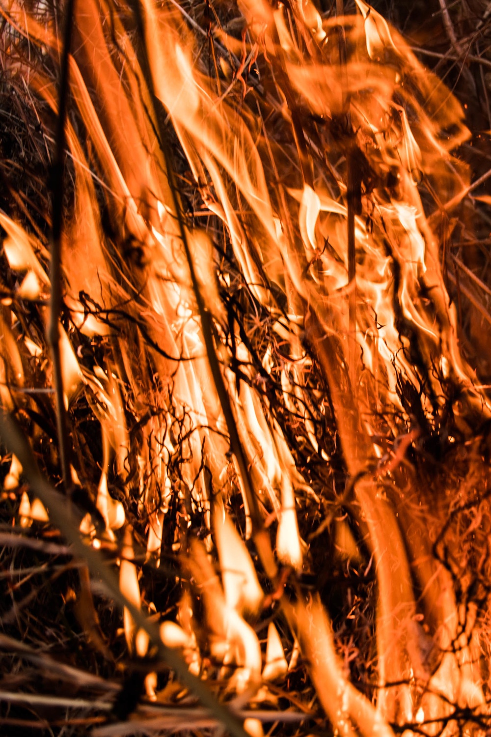 Fire and Smoke: Natural Resources controlling the burn