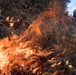 Fire and Smoke: Natural Resources controlling the burn