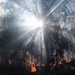 Fire and Smoke: Natural Resources controlling the burn