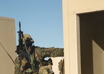 Iron Fist Amphibious Assault Exercise