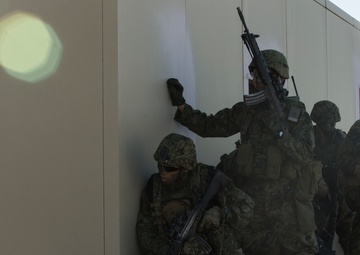 Iron Fist Amphibious Assault Exercise