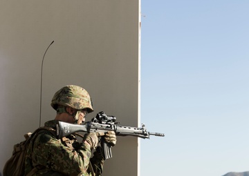 Iron Fist Amphibious Assault Exercise