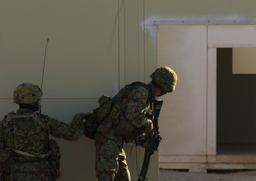 Iron Fist Amphibious Assault Exercise