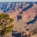 Desert Destinations: Grand Canyon National Park