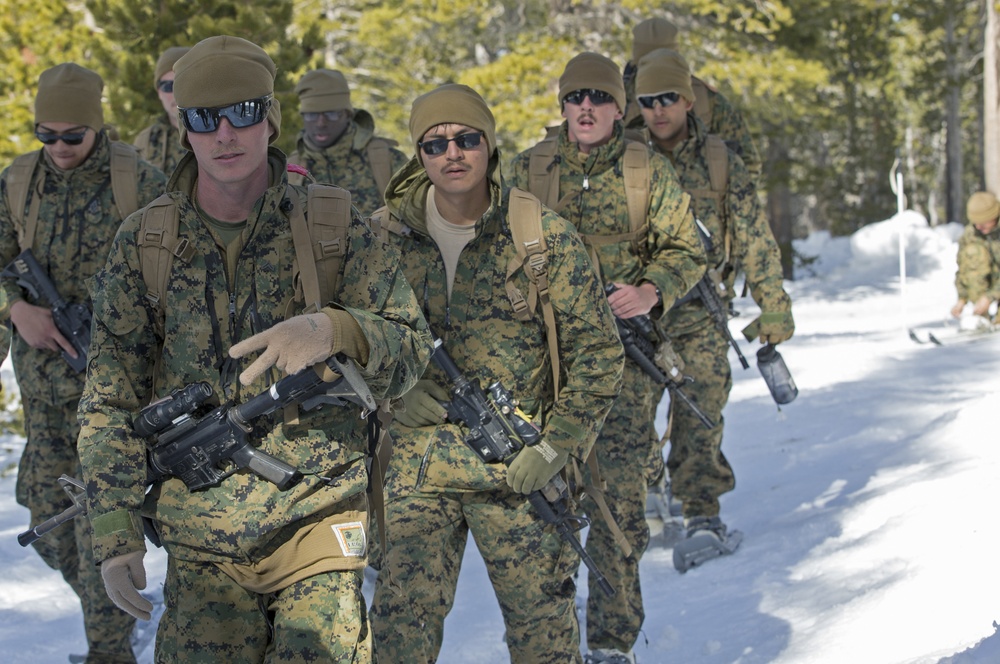 2/5 Cold Weather Training