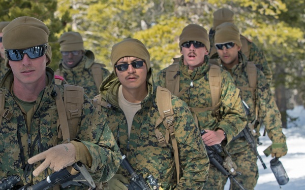 2/5 Cold Weather Training