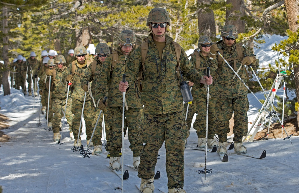 2/5 Cold Weather Training