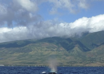 Coast Guard Cutter Oliver Berry conducts patrol off Main Hawaiian Islands
