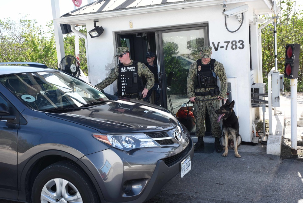 Citadel Shield-Solid Curtain Key West