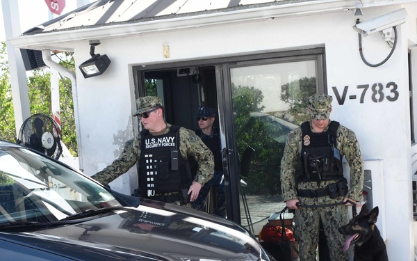 Citadel Shield-Solid Curtain Key West