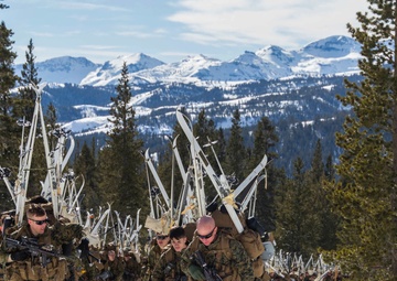 V3/8 Movement to Field