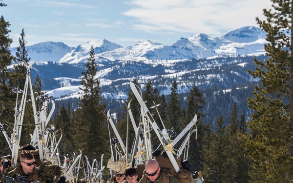 V3/8 Movement to Field