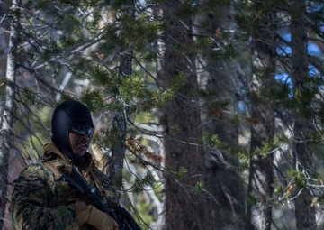 V3/8 Simulated Patrol