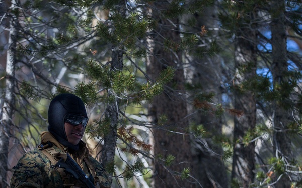 V3/8 Simulated Patrol