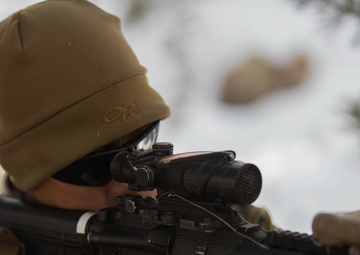 V3/8 Simulated Patrol