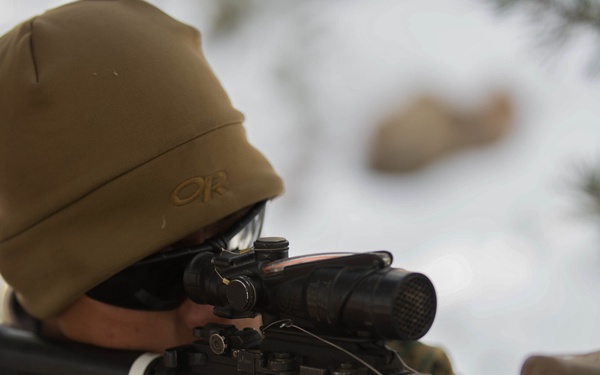 V3/8 Simulated Patrol