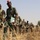 U.S. Army Trains Nigerian Infantry