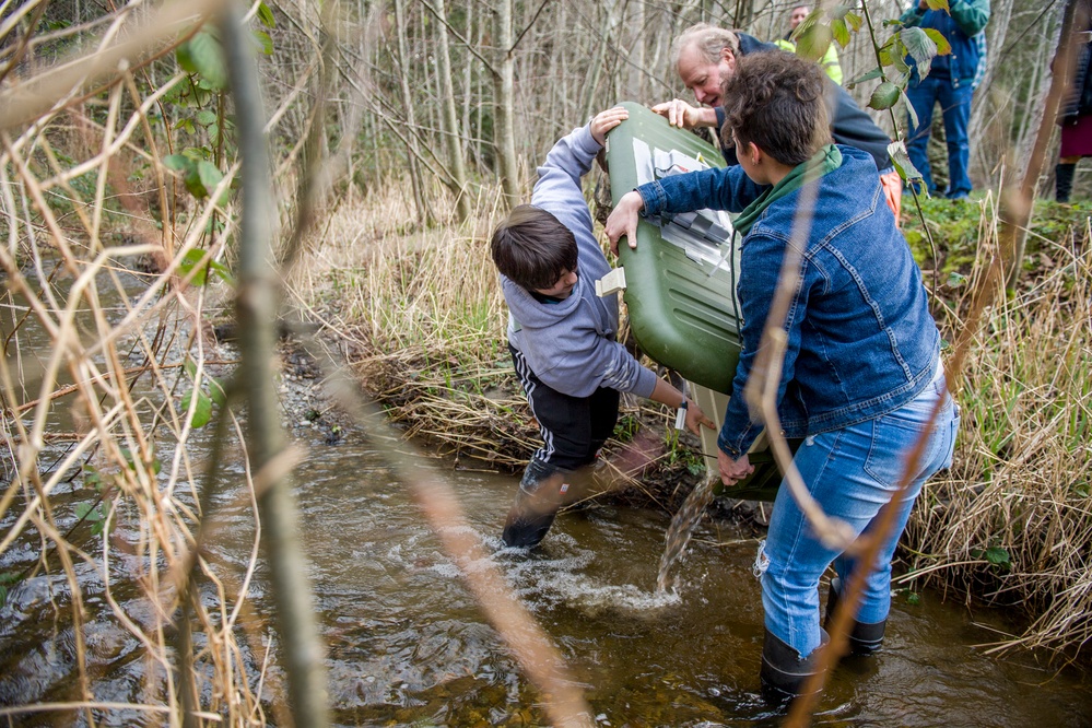 Students Release Salmon Fry