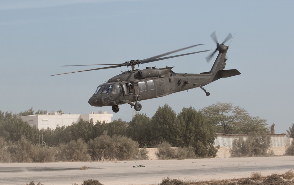 Black Hawk Takes Off