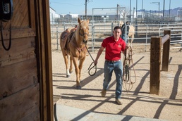 NCO and Marine of the Quarter are both horse people