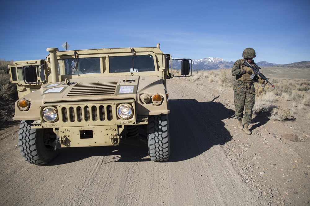 CLR-25 conducts tactical convoy training