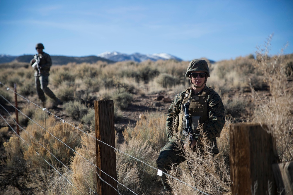 CLR-25 conducts tactical convoy training