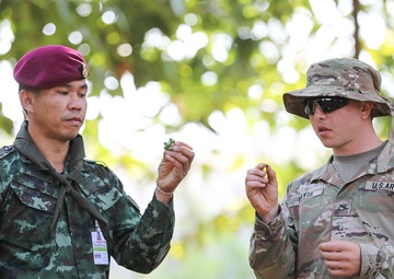 Cobra Gold 18: Thai, U.S. armies conducts jungle survival training